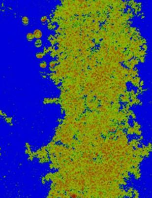 Analyse-image-spectrale-ingenierie-drone-technivue Analyse-image-spectrale-ingenierie-drone-technivue